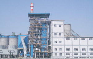 热烈祝贺壹定发中标大吨位高温高压电站锅炉项目