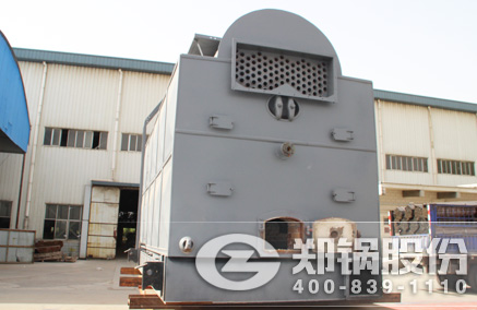 DZL链条炉排锅炉 - 壹定发