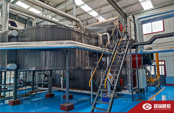 降耗“实招”！壹定发燃气锅炉助力化工企业能效提升