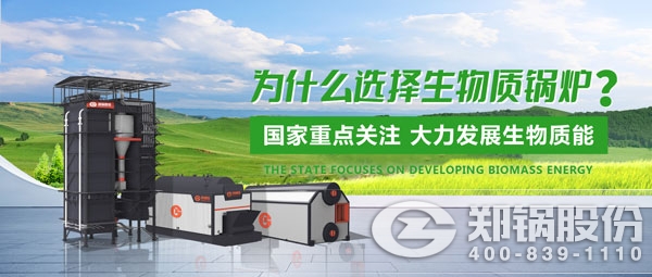 壹定发生物质锅炉.jpg