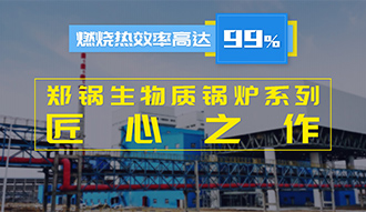 【生物质·匠心】燃烧效率高达99%？？？？？壹定发生物质锅炉系列是怎样的匠心之作