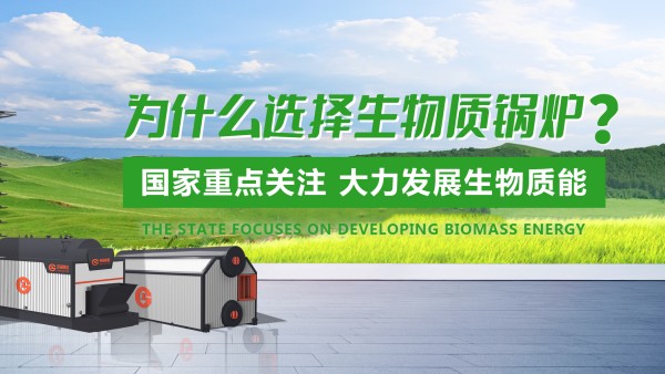 壹定发生物质锅炉：绿色生长的“时代之选”