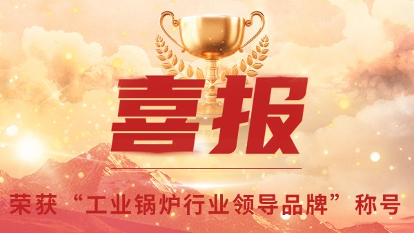 “工业锅炉”的三十年，，，，，，郑州锅炉的七十八年