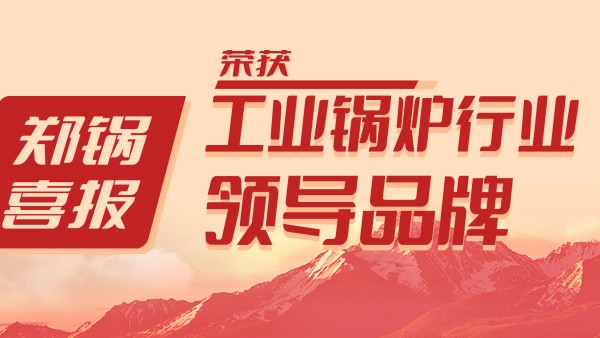 壹定发股份荣获“工业锅炉行业向导品牌”和“出口创汇先进企业”等声誉