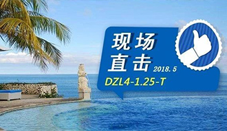 现场直击丨看生物质锅炉在巴厘岛怎样强操作，，，，，，转头客非它不选