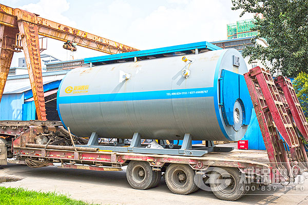 皓；；；；；；；6吨WNS燃气锅炉项目