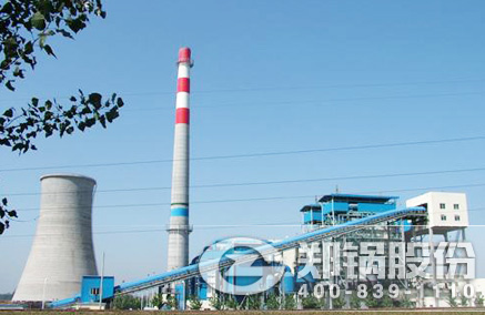 稻壳秸杆生物质发电锅炉 - 壹定发