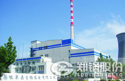 稻壳秸杆生物质发电锅炉 - 壹定发