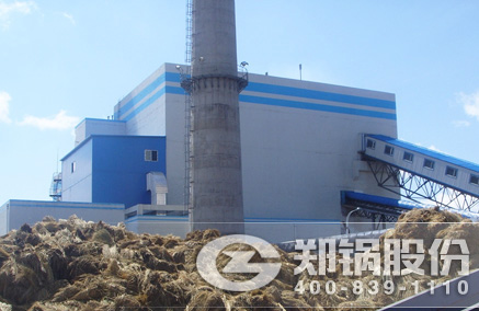 稻壳秸杆生物质发电锅炉 - 壹定发