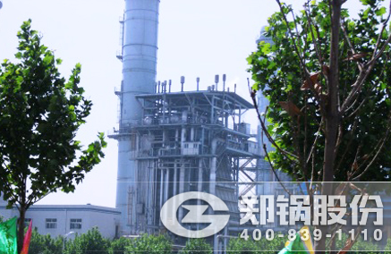 燃油燃气电站锅炉 - 壹定发