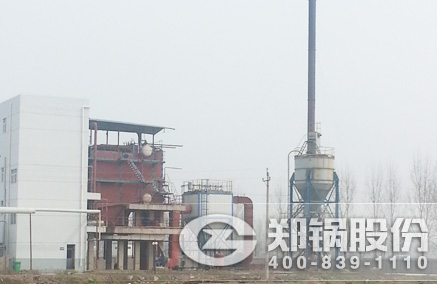 QXX低速内循环流化床锅炉 - 壹定发