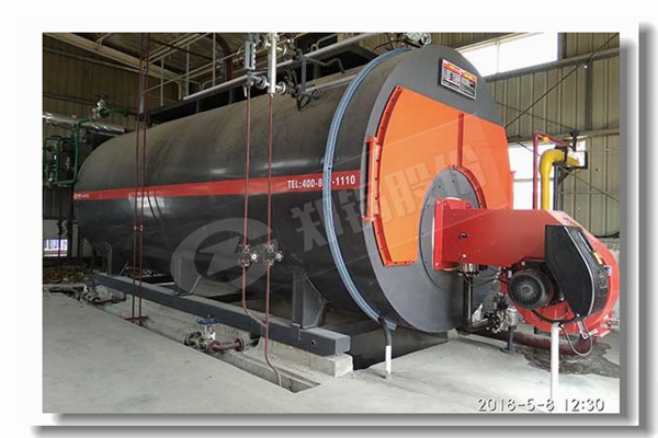 连系生物质燃料的卧式热水锅炉