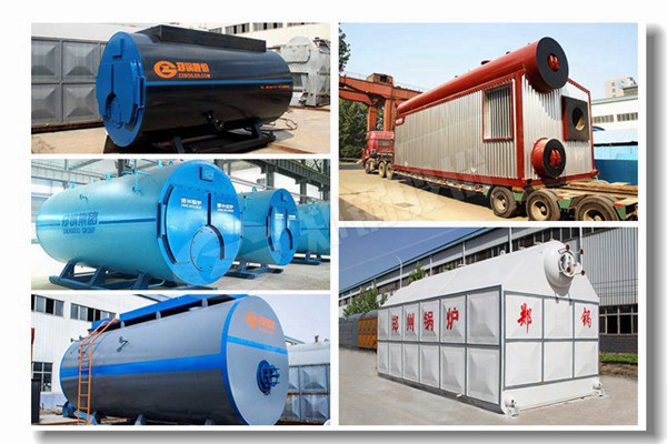 生物质立式两用蒸汽锅炉有哪些型号？？？？？？？？