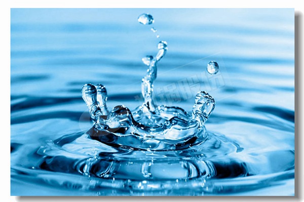 炉排炉同cfb锅炉较量有什么区别？？？？？